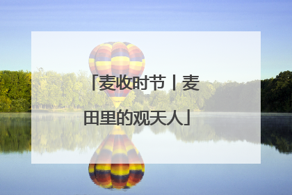 麦收时节丨麦田里的观天人