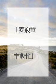 麦浪黄 丰收忙