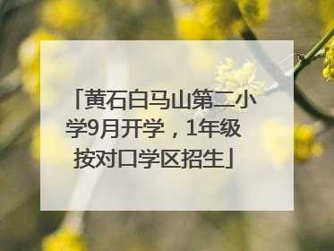 黄石白马山第二小学9月开学，1年级按对口学区招生