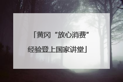 黄冈“放心消费”经验登上国家讲堂