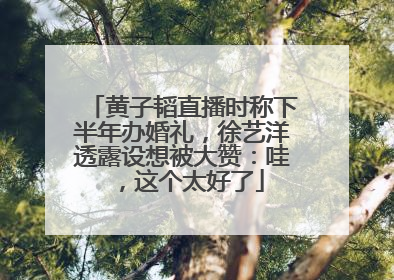 黄子韬直播时称下半年办婚礼，徐艺洋透露设想被大赞：哇，这个太好了