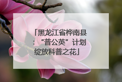 黑龙江省桦南县：“普公英”计划绽放科普之花