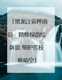 黑龙江省桦南县：精修绿韵绘新景 细护芳枝映晴空