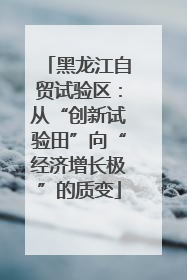 黑龙江自贸试验区：从“创新试验田”向“经济增长极”的质变