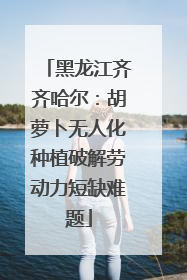 黑龙江齐齐哈尔：胡萝卜无人化种植破解劳动力短缺难题