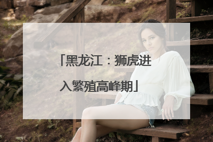 黑龙江：狮虎进入繁殖高峰期