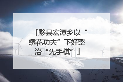 黟县宏潭乡以“绣花功夫”下好整治“先手棋”