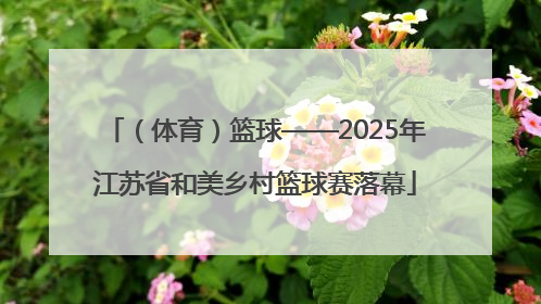 （体育）篮球——2025年江苏省和美乡村篮球赛落幕