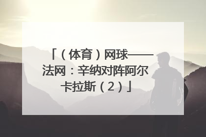 （体育）网球——法网：辛纳对阵阿尔卡拉斯（2）