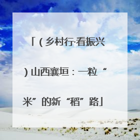 （乡村行·看振兴）山西襄垣：一粒“米”的新“稻”路