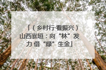 （乡村行·看振兴）山西襄垣：向“林”发力 借“绿”生金