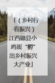 （乡村行·看振兴）江西赣县小鸡蛋“孵”出乡村振兴大产业