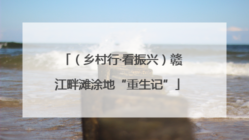 （乡村行·看振兴）赣江畔滩涂地“重生记”