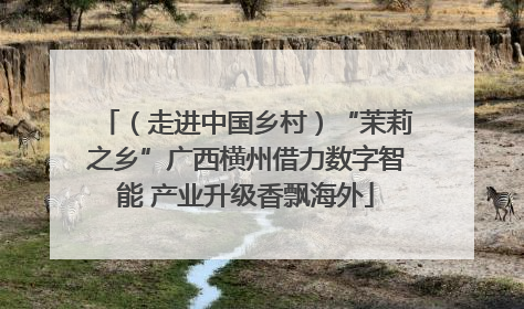 （走进中国乡村）“茉莉之乡”广西横州借力数字智能 产业升级香飘海外