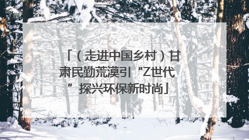 （走进中国乡村）甘肃民勤荒漠引“Z世代”探兴环保新时尚