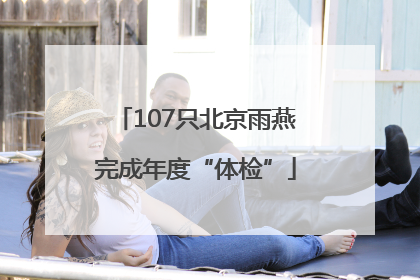 107只北京雨燕完成年度“体检”