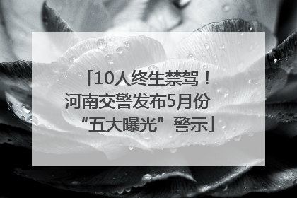 10人终生禁驾！河南交警发布5月份“五大曝光”警示