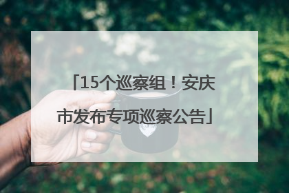 15个巡察组！安庆市发布专项巡察公告