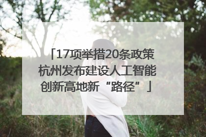 17项举措20条政策 杭州发布建设人工智能创新高地新“路径”
