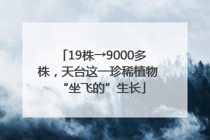 19株→9000多株，天台这一珍稀植物“坐飞的”生长