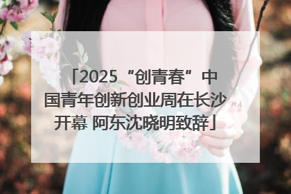 2025“创青春”中国青年创新创业周在长沙开幕 阿东沈晓明致辞