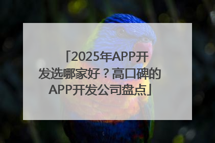 2025年APP开发选哪家好？高口碑的APP开发公司盘点