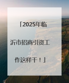 2025年临沂市招商引资工作这样干！