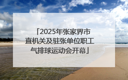 2025年张家界市直机关及驻张单位职工气排球运动会开幕