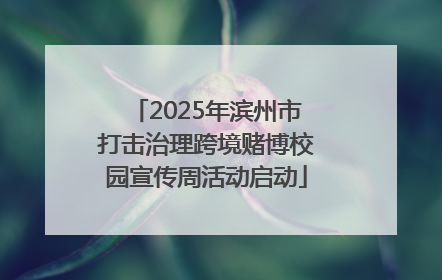 2025年滨州市打击治理跨境赌博校园宣传周活动启动