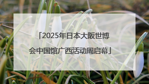 2025年日本大阪世博会中国馆广西活动周启幕