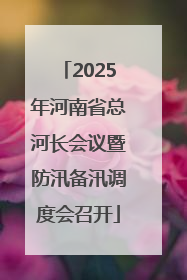 2025年河南省总河长会议暨防汛备汛调度会召开