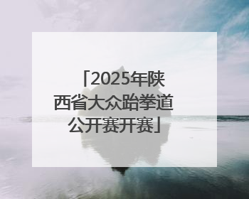 2025年陕西省大众跆拳道公开赛开赛
