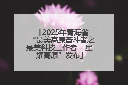 2025年青海省“最美高原奋斗者之最美科技工作者—星耀高原”发布