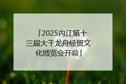 2025内江第十三届大千龙舟经贸文化博览会开幕