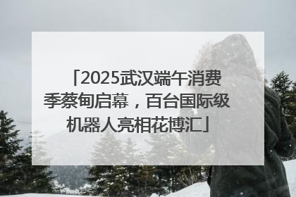 2025武汉端午消费季蔡甸启幕，百台国际级机器人亮相花博汇