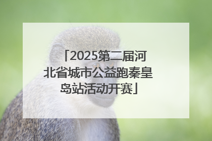 2025第二届河北省城市公益跑秦皇岛站活动开赛