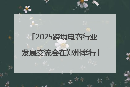 2025跨境电商行业发展交流会在郑州举行