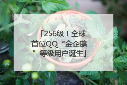 256级！全球首位QQ“金企鹅”等级用户诞生