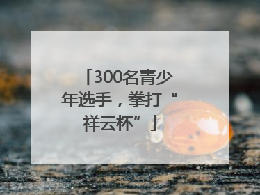300名青少年选手，拳打“祥云杯”