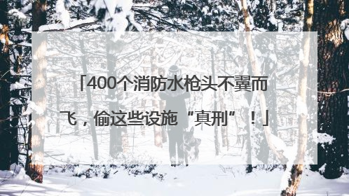400个消防水枪头不翼而飞，偷这些设施“真刑”！