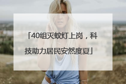 40组灭蚊灯上岗，科技助力居民安然度夏