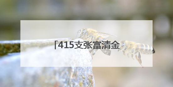 415支张富清金融服务队深入基层 用金融力量为民生福祉建设筑牢根基