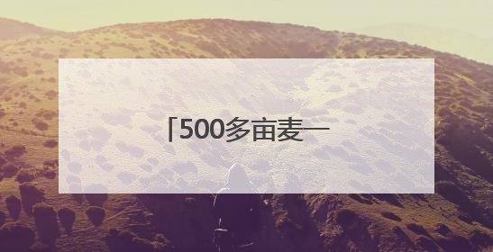 500多亩麦一天收完，这些“助手”帮大忙！