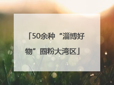 50余种“淄博好物”圈粉大湾区