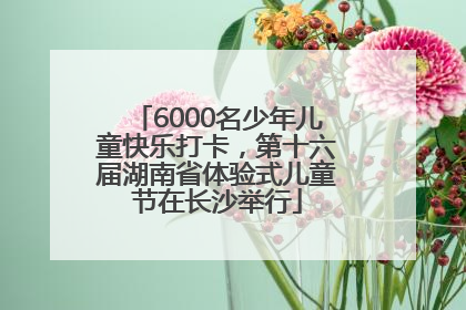 6000名少年儿童快乐打卡，第十六届湖南省体验式儿童节在长沙举行