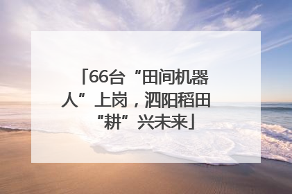 66台“田间机器人”上岗，泗阳稻田“耕”兴未来
