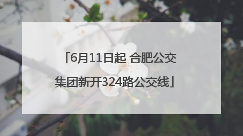 6月11日起 合肥公交集团新开324路公交线