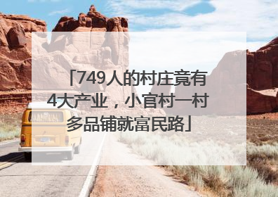 749人的村庄竟有4大产业，小官村一村多品铺就富民路