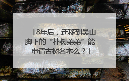8年后，迁移到吴山脚下的“朴树弟弟”能申请古树名木么？