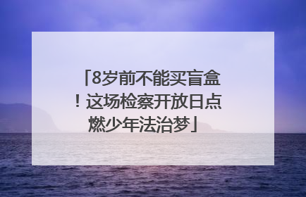 8岁前不能买盲盒！这场检察开放日点燃少年法治梦